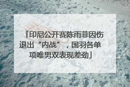 印尼公开赛陈雨菲因伤退出“内战”，国羽各单项唯男双表现差劲