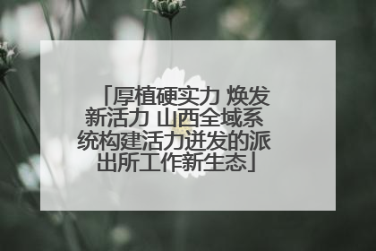 厚植硬实力 焕发新活力 山西全域系统构建活力迸发的派出所工作新生态