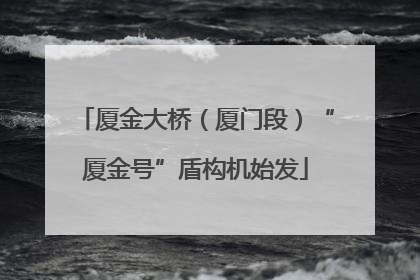 厦金大桥（厦门段）“厦金号”盾构机始发