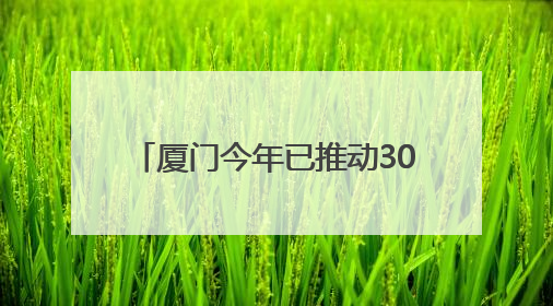 厦门今年已推动30余个民生项目落地