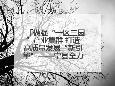 做强“一区三园”产业集群 打造高质量发展“新引擎”——宁县全力推动工业经济提质增效