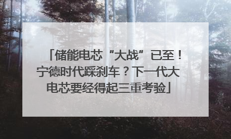 储能电芯“大战”已至！宁德时代踩刹车？下一代大电芯要经得起三重考验