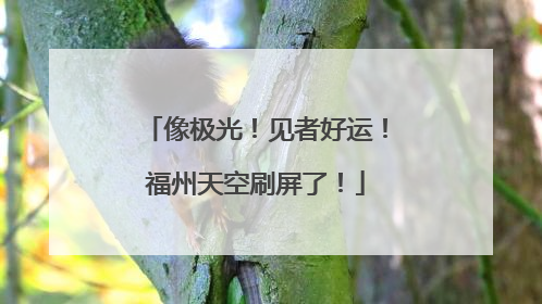 像极光！见者好运！福州天空刷屏了！