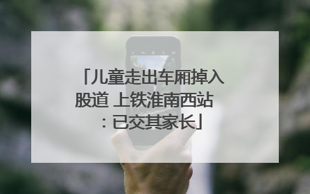 儿童走出车厢掉入股道 上铁淮南西站：已交其家长