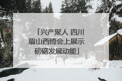兴产聚人 四川眉山西博会上展示磅礴发展动能