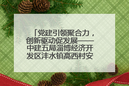 党建引领聚合力，创新驱动促发展——中建五局淄博经济开发区沣水镇高西村安置项目建设纪实