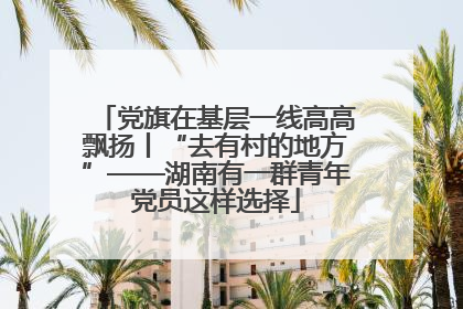 党旗在基层一线高高飘扬丨“去有村的地方”——湖南有一群青年党员这样选择