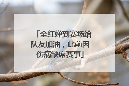 全红婵到赛场给队友加油，此前因伤病缺席赛事