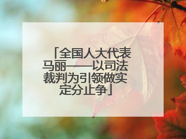 全国人大代表马丽——以司法裁判为引领做实定分止争