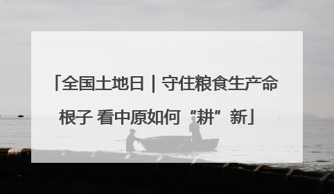 全国土地日｜守住粮食生产命根子 看中原如何“耕”新