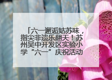 六一邂逅姑苏味，指尖非遗乐翻天！苏州吴中开发区实验小学“六一”庆祝活动精彩纷呈