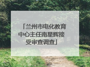 兰州市电化教育中心主任南星辉接受审查调查