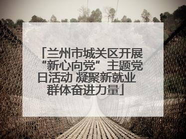 兰州市城关区开展“新心向党”主题党日活动 凝聚新就业群体奋进力量