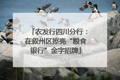 农发行四川分行：在叙州区擦亮“粮食银行”金字招牌