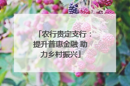 农行贵定支行：提升普惠金融 助力乡村振兴