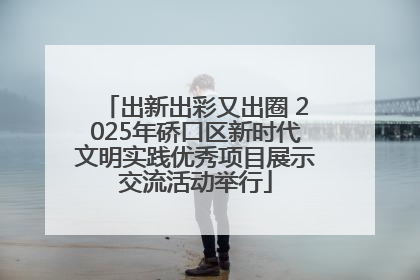 出新出彩又出圈 2025年硚口区新时代文明实践优秀项目展示交流活动举行