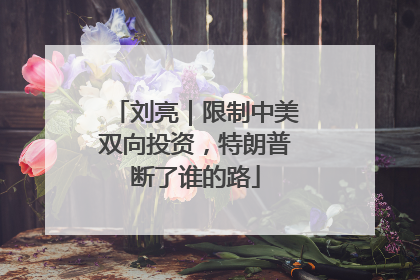 刘亮｜限制中美双向投资，特朗普断了谁的路
