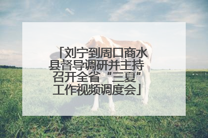 刘宁到周口商水县督导调研并主持召开全省“三夏”工作视频调度会