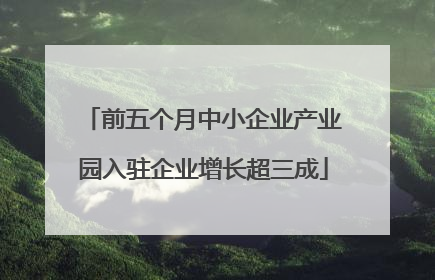 前五个月中小企业产业园入驻企业增长超三成