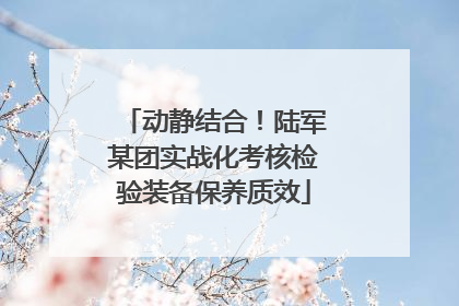 动静结合！陆军某团实战化考核检验装备保养质效