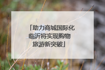 助力商城国际化 临沂将实现购物旅游新突破