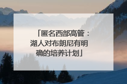 匿名西部高管：湖人对布朗尼有明确的培养计划