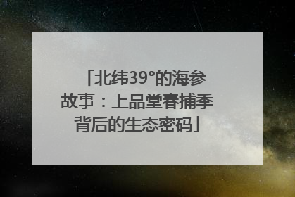 北纬39°的海参故事：上品堂春捕季背后的生态密码