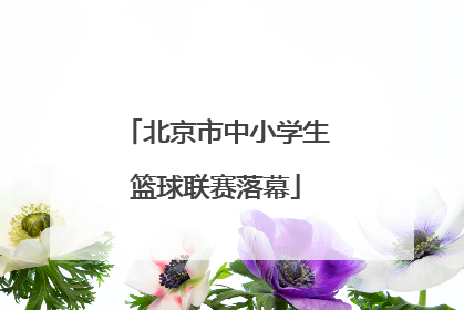 北京市中小学生篮球联赛落幕