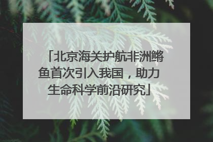 北京海关护航非洲鳉鱼首次引入我国，助力生命科学前沿研究