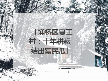 埇桥区夏王村：十年耕耘结出富民瓜