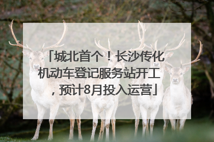 城北首个！长沙传化机动车登记服务站开工，预计8月投入运营