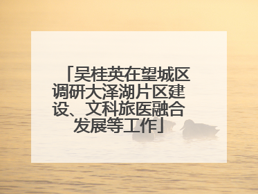 吴桂英在望城区调研大泽湖片区建设、文科旅医融合发展等工作