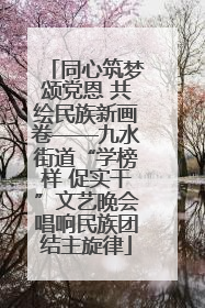 同心筑梦颂党恩 共绘民族新画卷——九水街道“学榜样 促实干”文艺晚会唱响民族团结主旋律