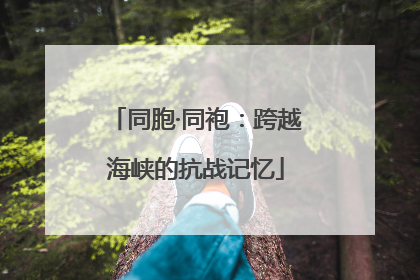 同胞·同袍：跨越海峡的抗战记忆