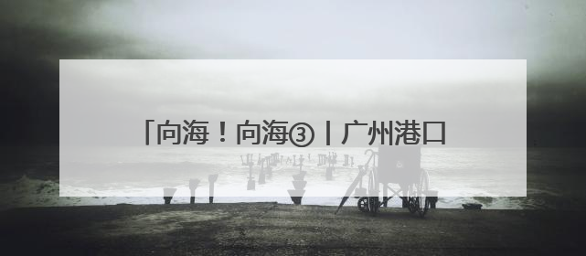 向海！向海③丨广州港口经济释放“乘数效应”