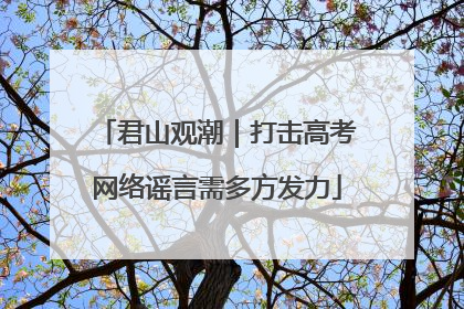君山观潮｜打击高考网络谣言需多方发力