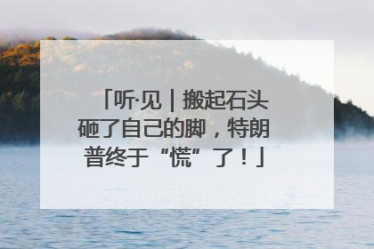 听·见｜搬起石头砸了自己的脚，特朗普终于“慌”了！