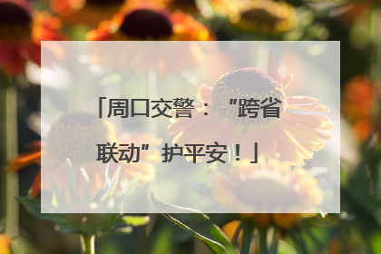 周口交警：“跨省联动”护平安！