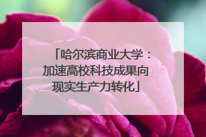 哈尔滨商业大学：加速高校科技成果向现实生产力转化