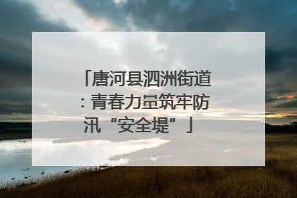 唐河县泗洲街道：青春力量筑牢防汛“安全堤”