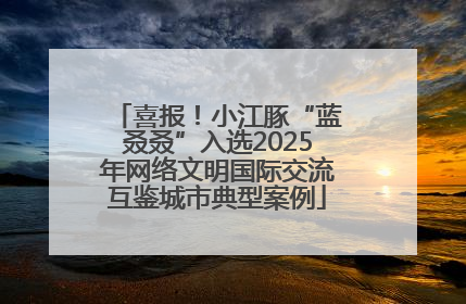 喜报！小江豚“蓝叒叒”入选2025年网络文明国际交流互鉴城市典型案例