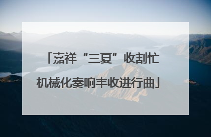 嘉祥“三夏”收割忙 机械化奏响丰收进行曲