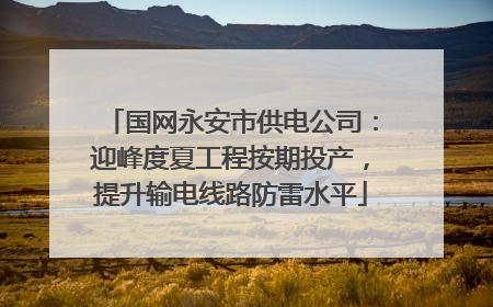 国网永安市供电公司：迎峰度夏工程按期投产，提升输电线路防雷水平