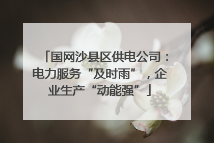 国网沙县区供电公司：电力服务“及时雨”，企业生产“动能强”