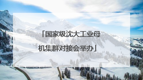 国家级沈大工业母机集群对接会举办