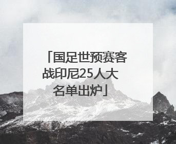 国足世预赛客战印尼25人大名单出炉