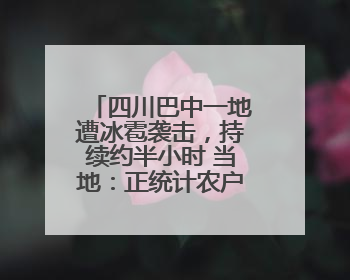 四川巴中一地遭冰雹袭击，持续约半小时 当地：正统计农户受损情况
