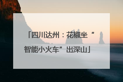 四川达州：花椒坐“智能小火车”出深山