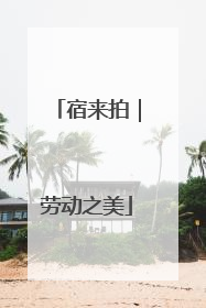 宿来拍｜劳动之美