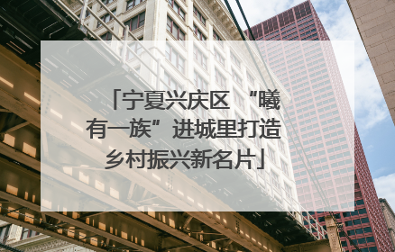 宁夏兴庆区 “曦有一族”进城里打造乡村振兴新名片